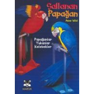 Sallanan Papağan Papağanlar, Tukanlar, Kelebekler                                                                                                                                                                                                              