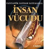 İnsan Vücudu                                                                                                                                                                                                                                                   