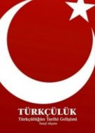 Türkçülük - Türkçülüğün Tarihi Gelişimi                                                                                                                                                                                                                        