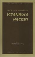 İstanbula Hasret                                                                                                                                                                                                                                               