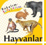 Hayvanlar                                                                                                                                                                                                                                                      