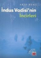 İndus Vadisi