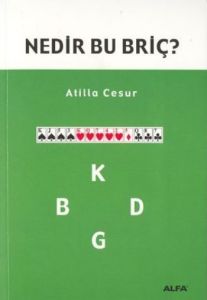 Nedir Bu Briç?                                                                                                                                                                                                                                                 