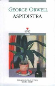 Aspidistra                                                                                                                                                                                                                                                     