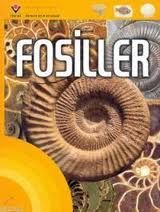 Fosiller                                                                                                                                                                                                                                                       