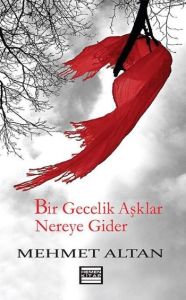 Bir Gecelik Aşklar Nereye Gider                                                                                                                                                                                                                                