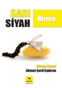 Sarı Siyah Bursa                                                                                                                                                                                                                                               