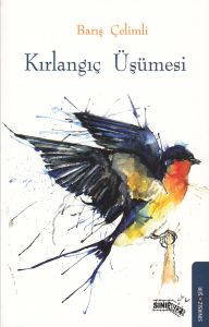 Kırlangıç Üşümesi                                                                                                                                                                                                                                              