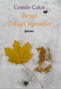 Beyaz Düşsel Kanatlar                                                                                                                                                                                                                                          