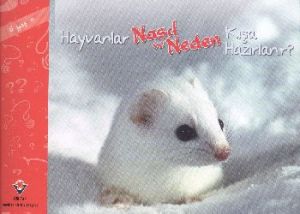 Hayvanlar Nasıl ve Neden Kışa Hazırlanır                                                                                                                                                                                                                       