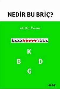 Nedir Bu Briç                                                                                                                                                                                                                                                  