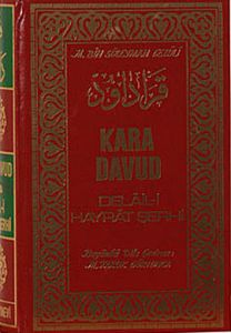 Kara Davut - Delail-i Hayrat Şerhi                                                                                                                                                                                                                             