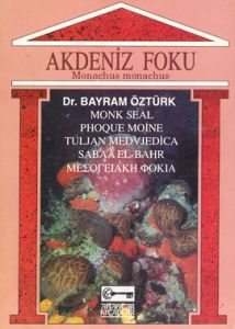 Akdeniz Foku Monachus Monachus                                                                                                                                                                                                                                 