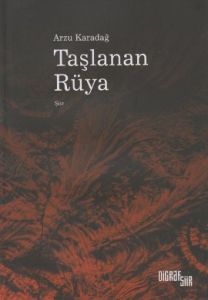 Taşlanan Rüya                                                                                                                                                                                                                                                  